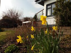flowers in garden ,Skye Basecamp